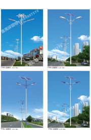 太阳能路灯(10)