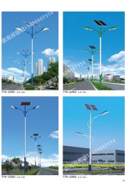 太阳能路灯(11)
