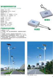 太阳能路灯(13)