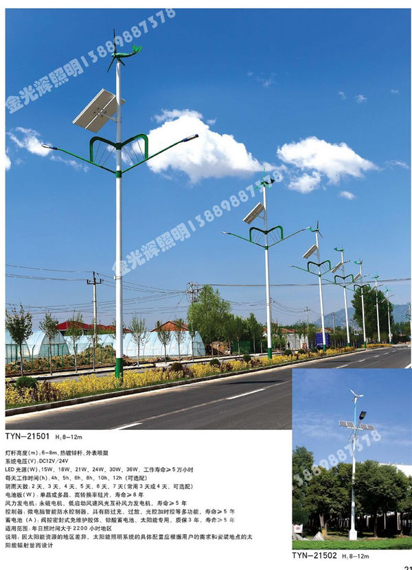 太阳能路灯(17)