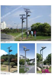 太阳能庭院灯 (10)