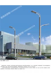道路灯 (19)