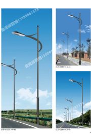 道路灯 (22)