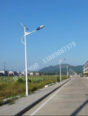 内蒙 通辽 6m太阳能路灯270套